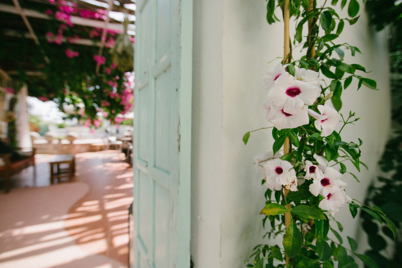 Gorgona Studios Faliraki Dış mekan fotoğraf